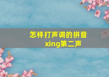 怎样打声调的拼音 xing第二声